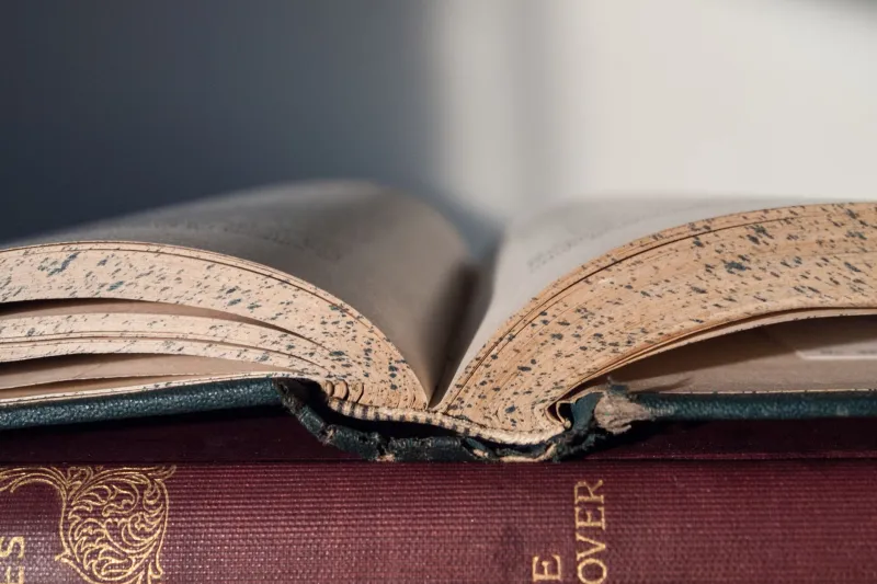 Ink, Paper, and Instinct: A Collector's Guide to Authenticating British First Editions at Home
