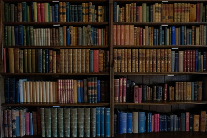 The Scarcity Paradox: Why the Digital Age Has Made Rare Physical Books More Coveted Than Ever